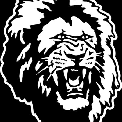 Lion Head2 Thumbnail