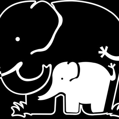 Elephant Family Thumbnail