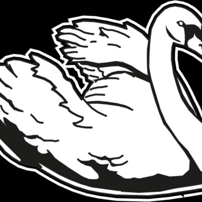 swan Thumbnail