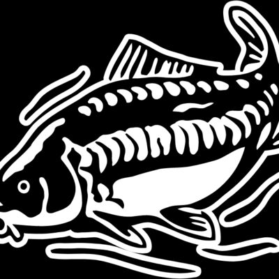 carp fishing Thumbnail