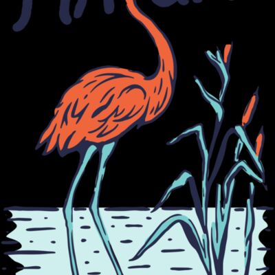 Flamingo Beauty Thumbnail