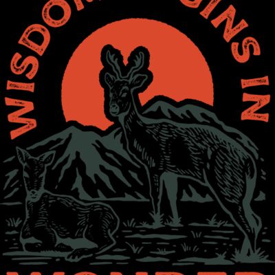 wisdom wonder Thumbnail