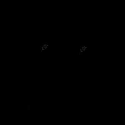 SPOOKY BOOK Thumbnail