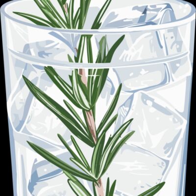 Gin and tonic rosemary Thumbnail