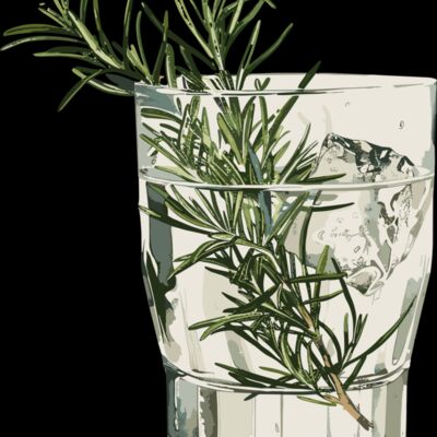 Rosemary Gin and Tonic Thumbnail