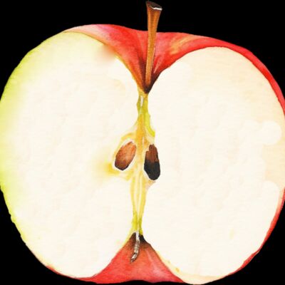 Fruit   Apple  1  Thumbnail