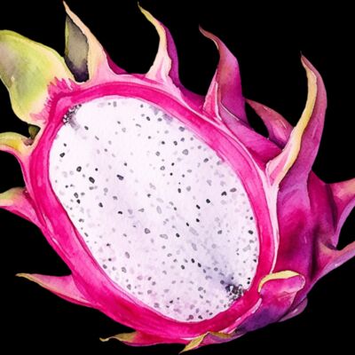 Fruit   Dragonfruit Thumbnail