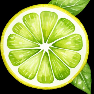 Fruit   Lime Slice  1  Thumbnail