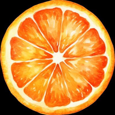 Fruit   Orange Slice  1  Thumbnail