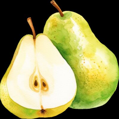 Fruit   Pear  2  Thumbnail