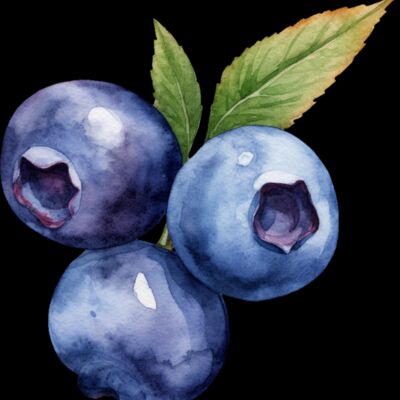 Blueberry Thumbnail