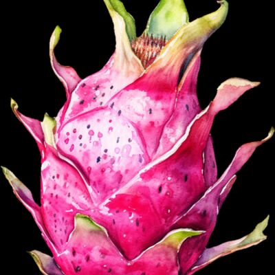 Dragonfruit Thumbnail