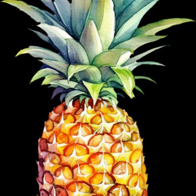 Pineapple Thumbnail