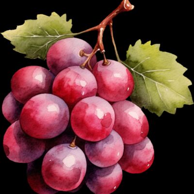 Red Grapes Thumbnail