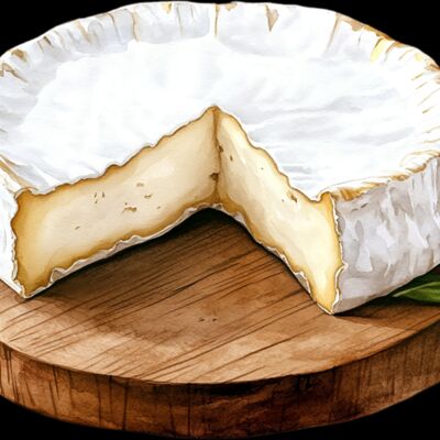 Brie camembert Thumbnail