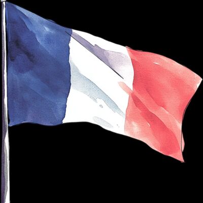 french flag Thumbnail