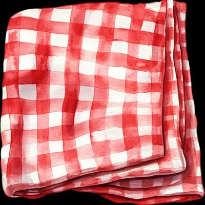 gingham checkered cloth  1  Thumbnail