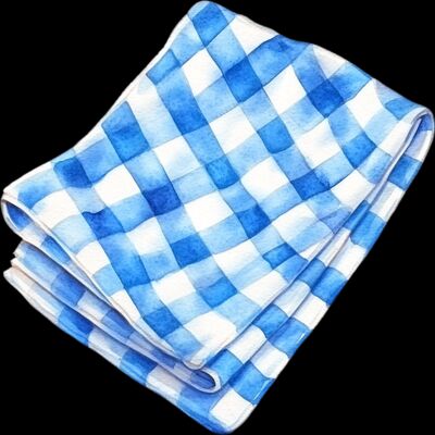 gingham checkered cloth  2  Thumbnail