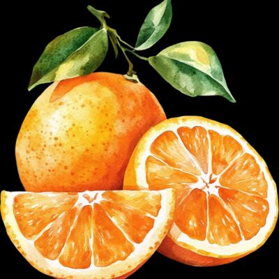 oranges  1  Thumbnail